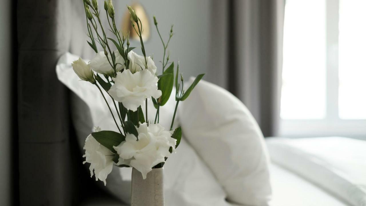 Mint Boutique Studio Apartments 萨格勒布 外观 照片